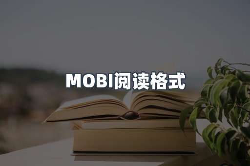MOBI阅读格式